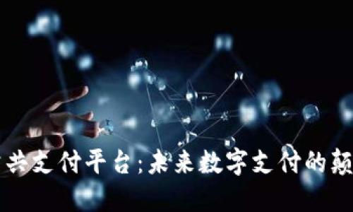 区块链公共支付平台：未来数字支付的颠覆性创新