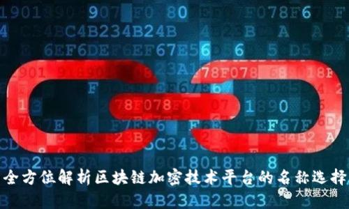 全方位解析区块链加密技术平台的名称选择