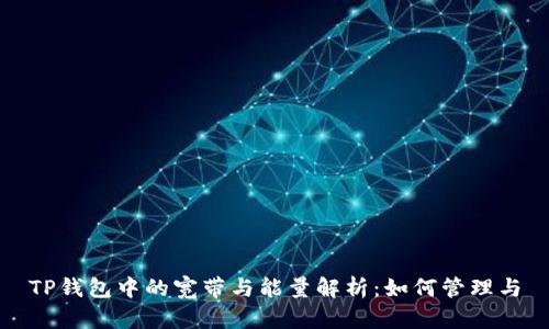 TP钱包中的宽带与能量解析：如何管理与