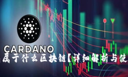 TP钱包属于什么区块链？详细解析与使用指南