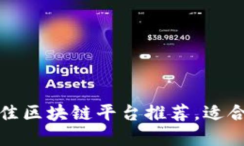  2023年最佳区块链平台推荐，适合开发与投资